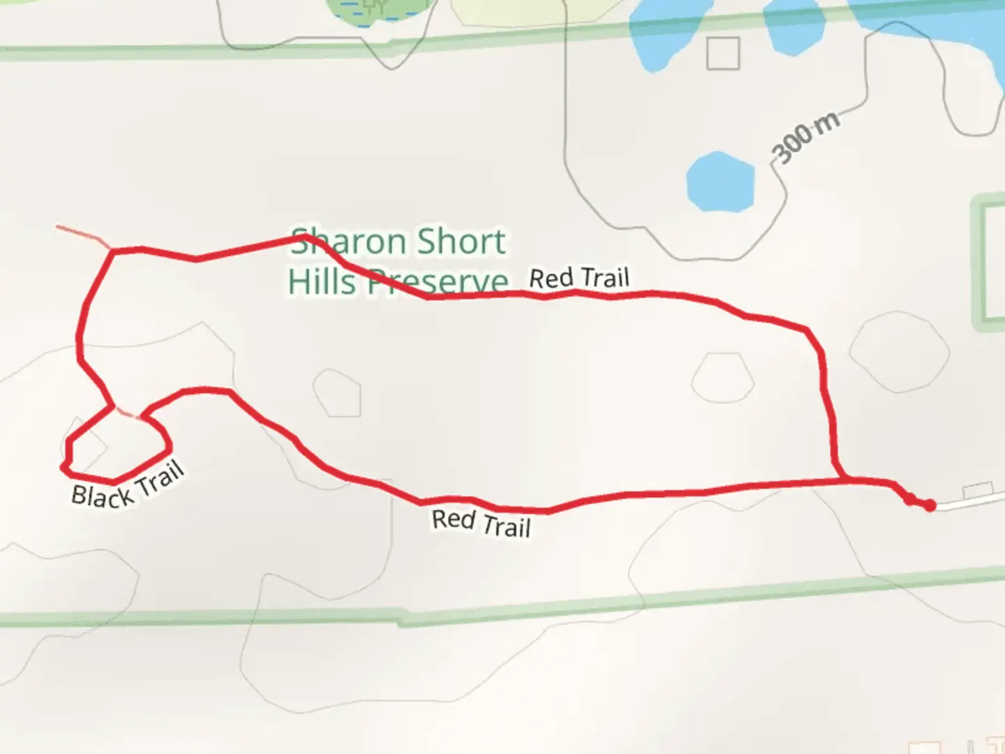 An image depicting the trail Red Trail Loop and its surrounding area.