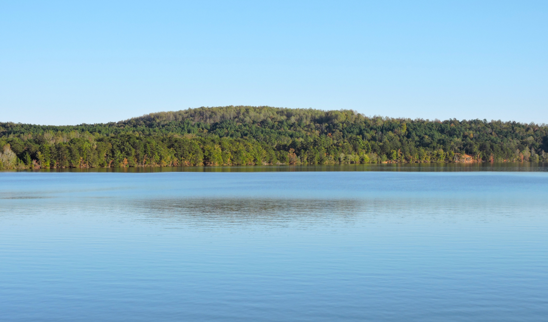 An image depicting the trail Badin Lake East Loop and its surrounding area.