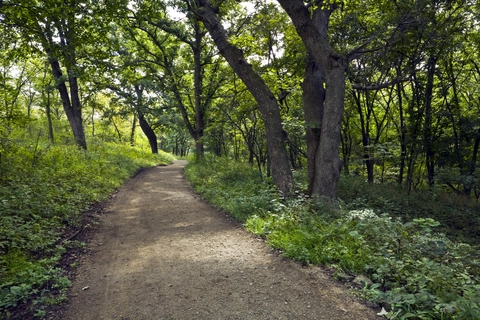 An image depicting the trail Flint Hills Nature Trail and its surrounding area.