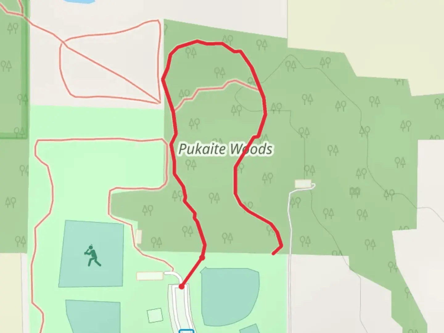An image depicting the trail Pukaite Woods and its surrounding area.