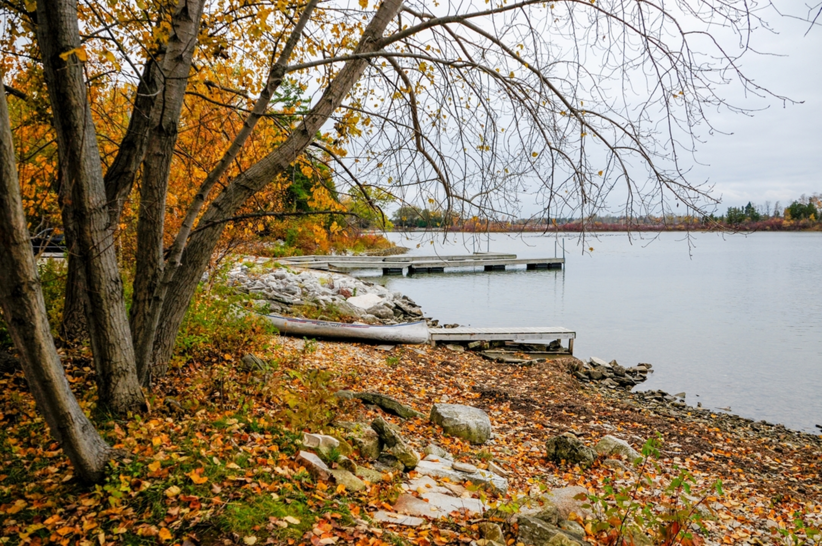 An image depicting the trail Potawatomi State Park Loop and its surrounding area.