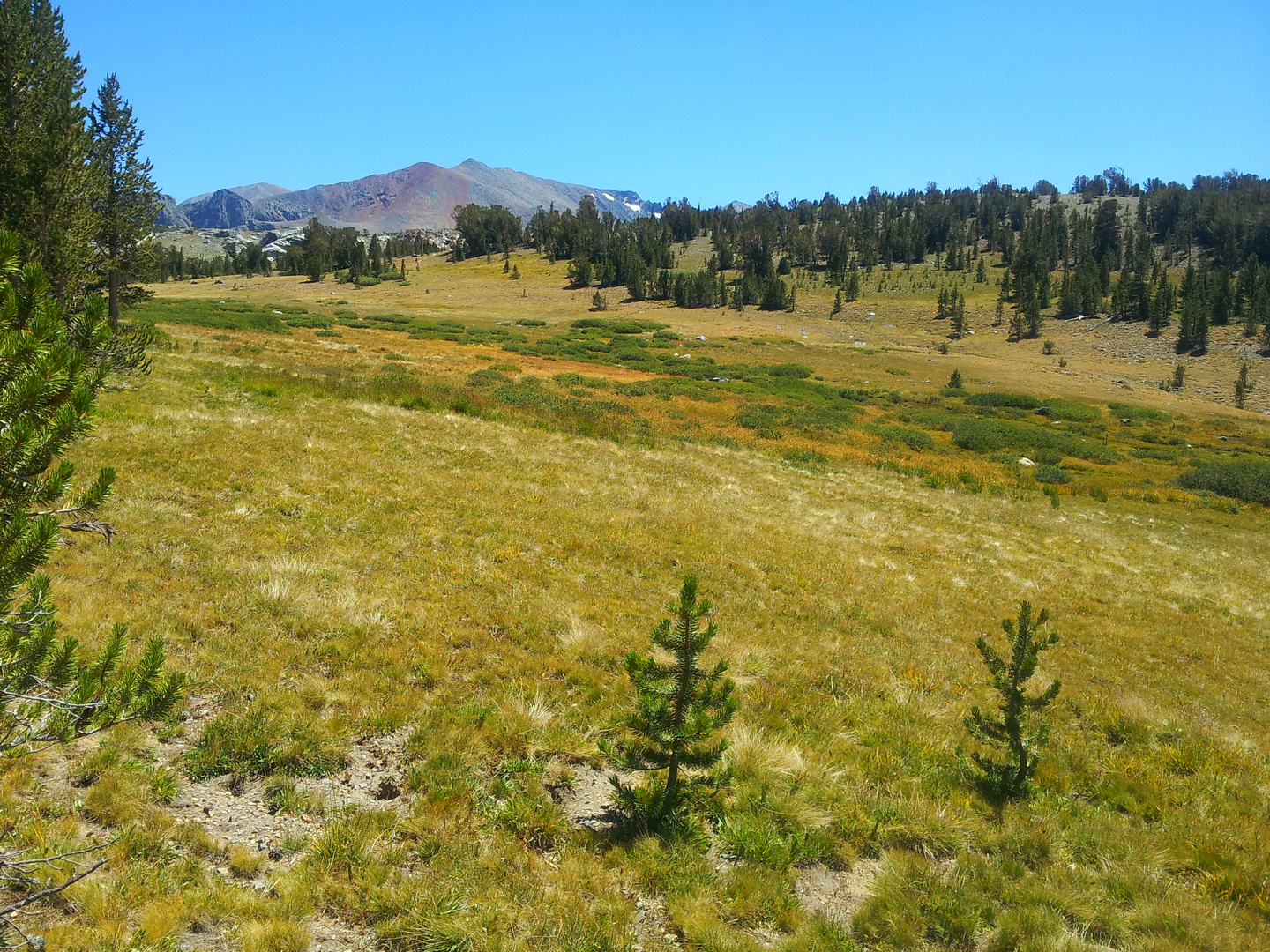 An image depicting the trail Vogelsang High Sierra Camp, Tuolumne Pass via Pacific Crest Trail and its surrounding area.