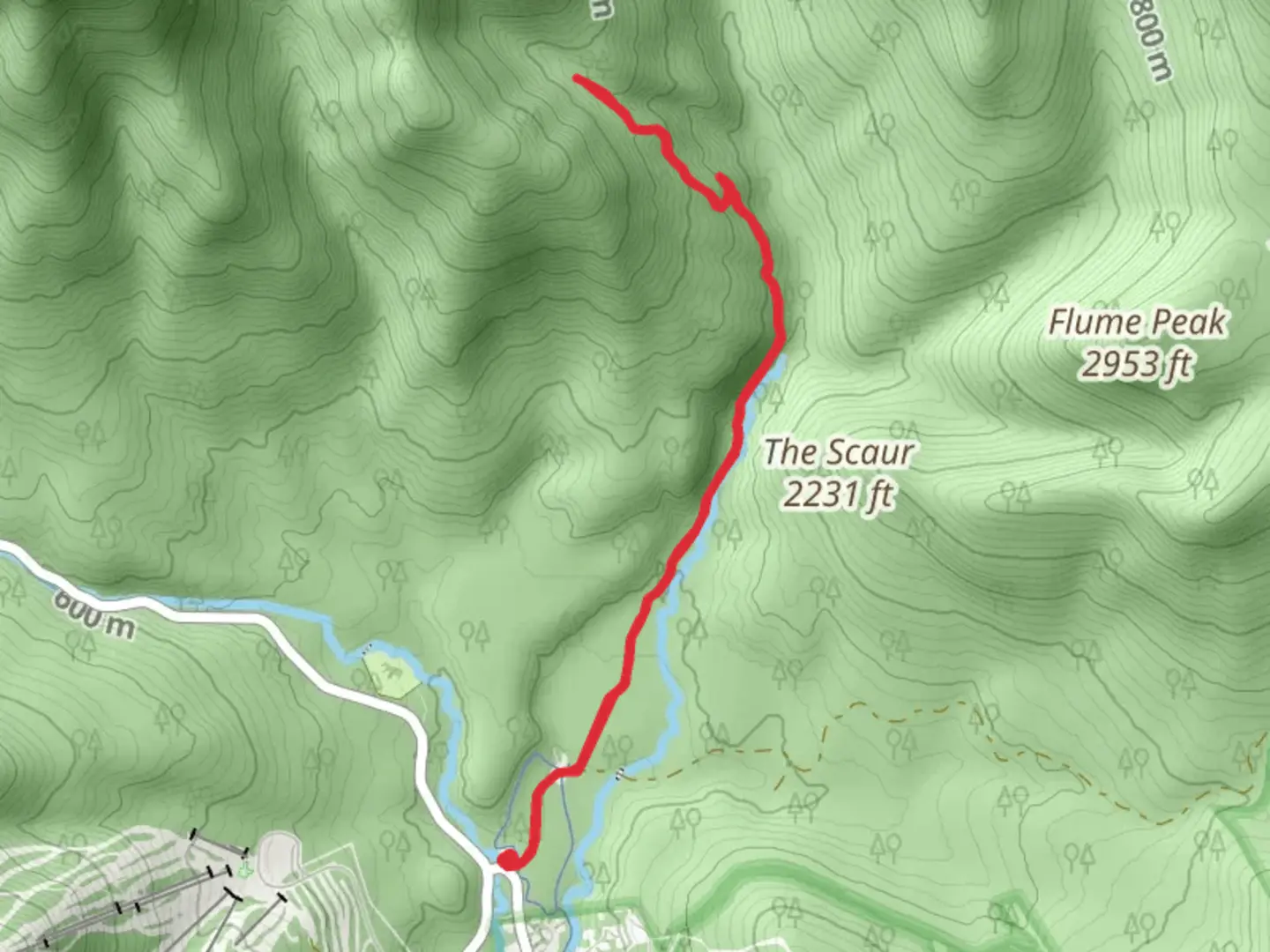 An image depicting the trail Timber Camp Trail and its surrounding area.