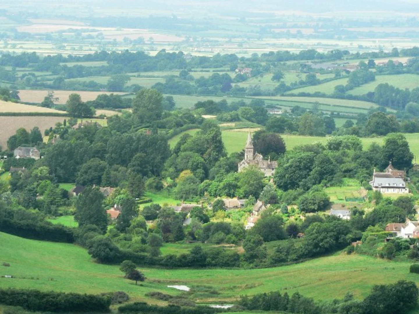 An image depicting the trail Compton Down Walk and its surrounding area.