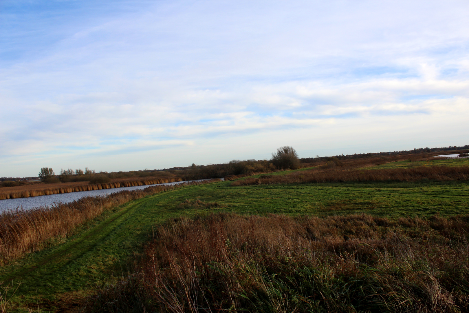 An image depicting the trail Langeveen to Gramsbergen via Balderhaarmoor and Wielen and its surrounding area.