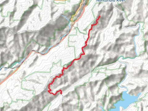 London Bald and Piercy Bald Trail