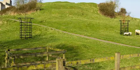 An image depicting the trail Nene Way and its surrounding area.