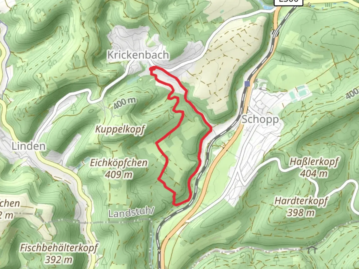 An image depicting the trail Wanderweg Schopp and its surrounding area.