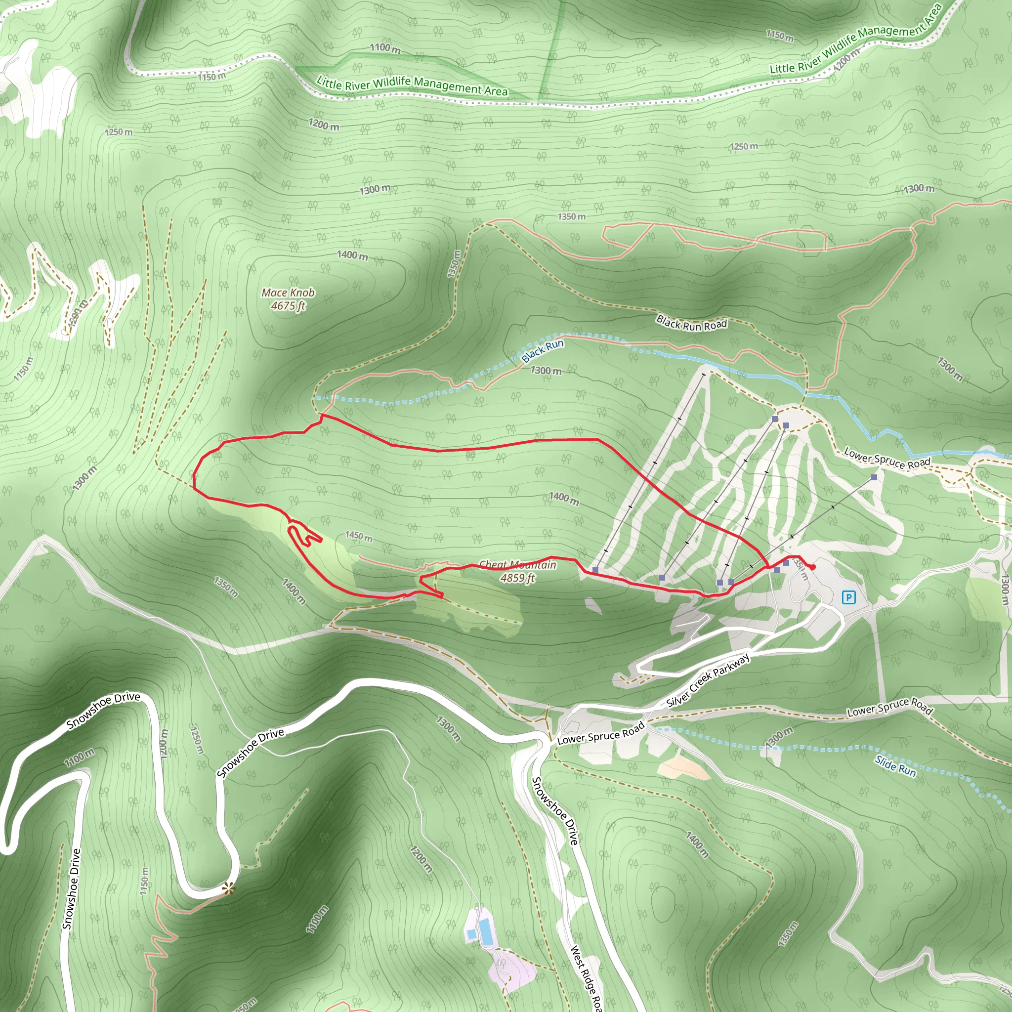 Cheat Mountain and Upper Beaver Dam Loop mobile static map