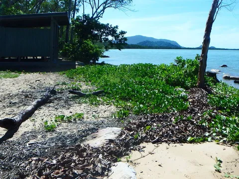 South Shepherd Bay Track