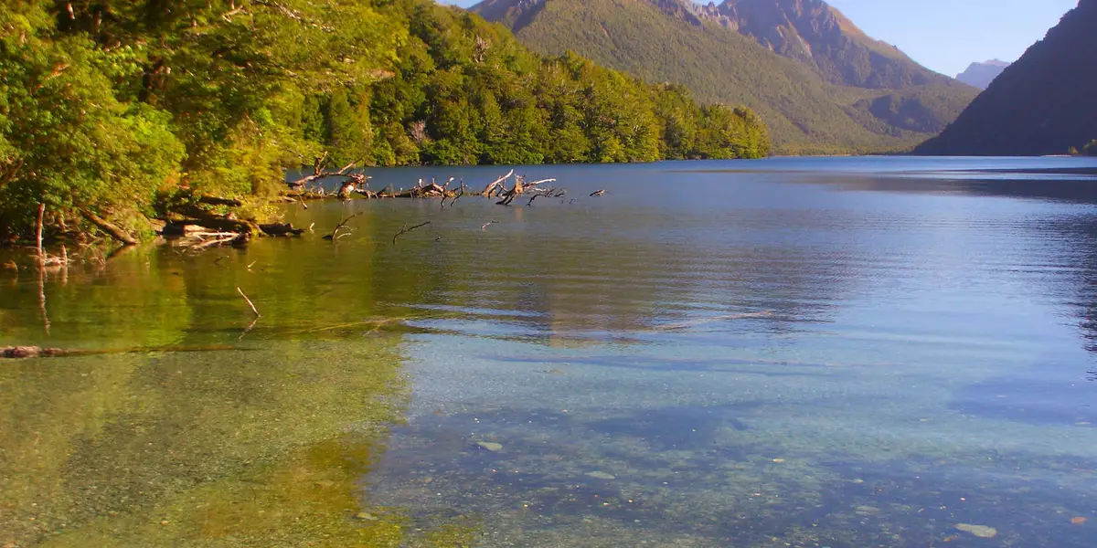 Lake Gunn Nature Walk