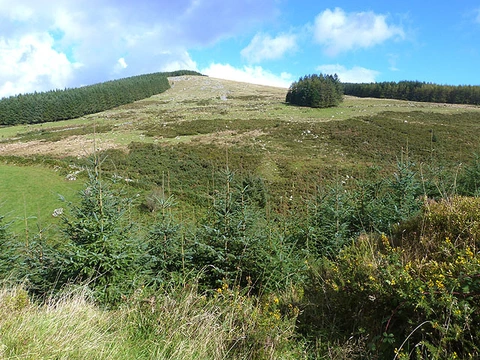 An image depicting the trail Slieve Maan Loop via Wicklow Way and its surrounding area.