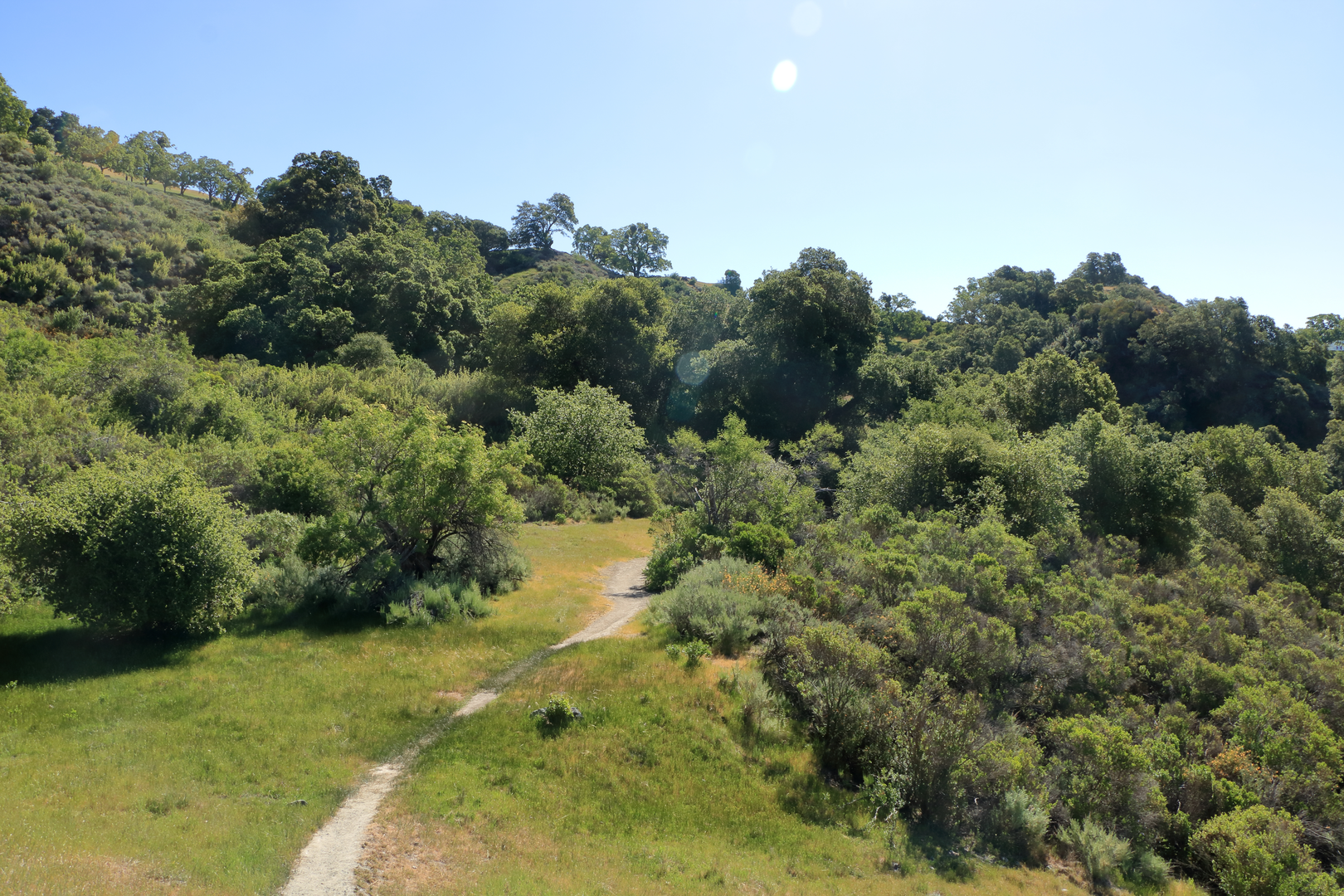 An image depicting the trail Indian Joe Creek Trail and Cave Rocks Road Loop and its surrounding area.