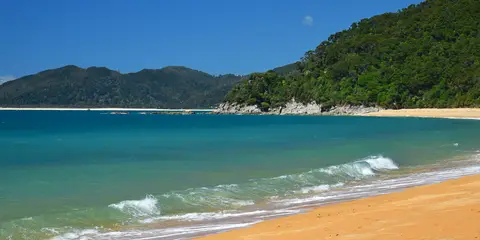 An image depicting the trail Totaranui Beach Track to Waiharakeke Bay and its surrounding area.