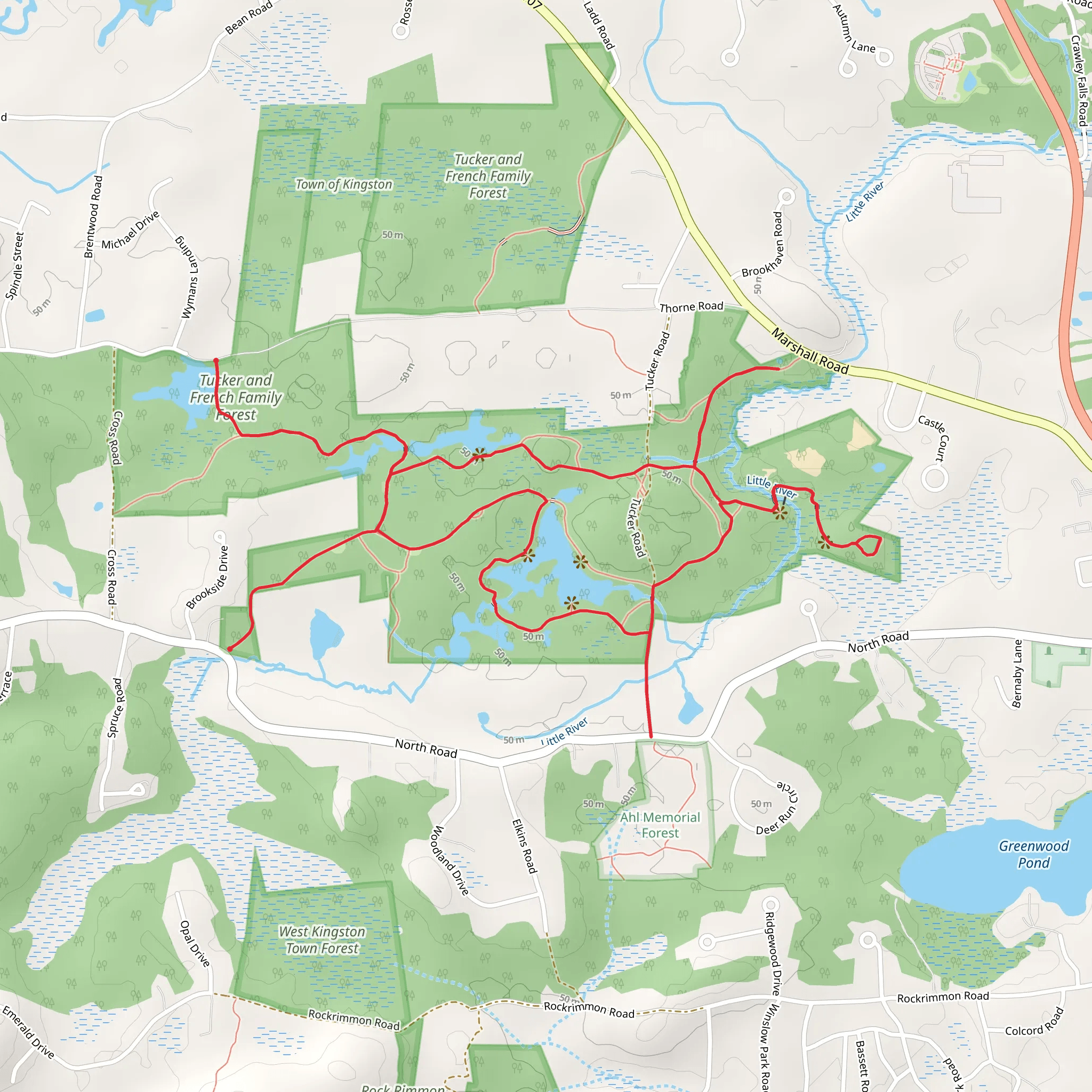 Tucker and French Family Forest and Mill Pond Loop mobile static map