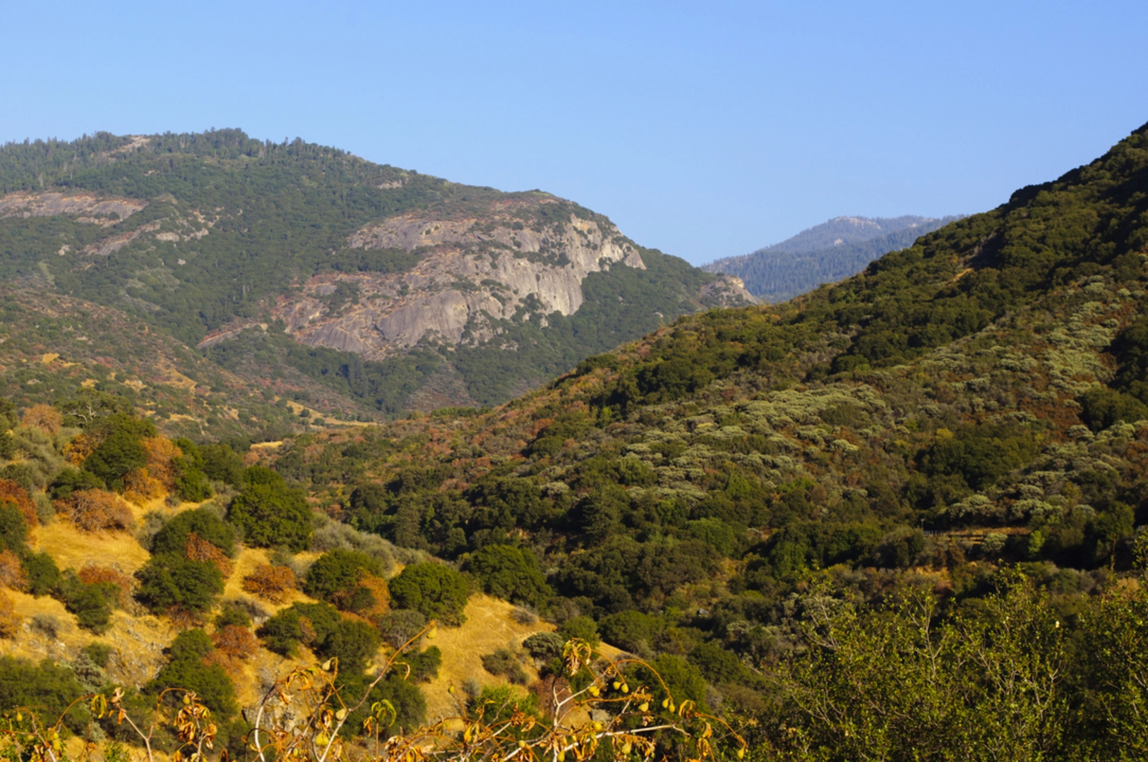 An image depicting the trail Crystal Lake Trail and its surrounding area.