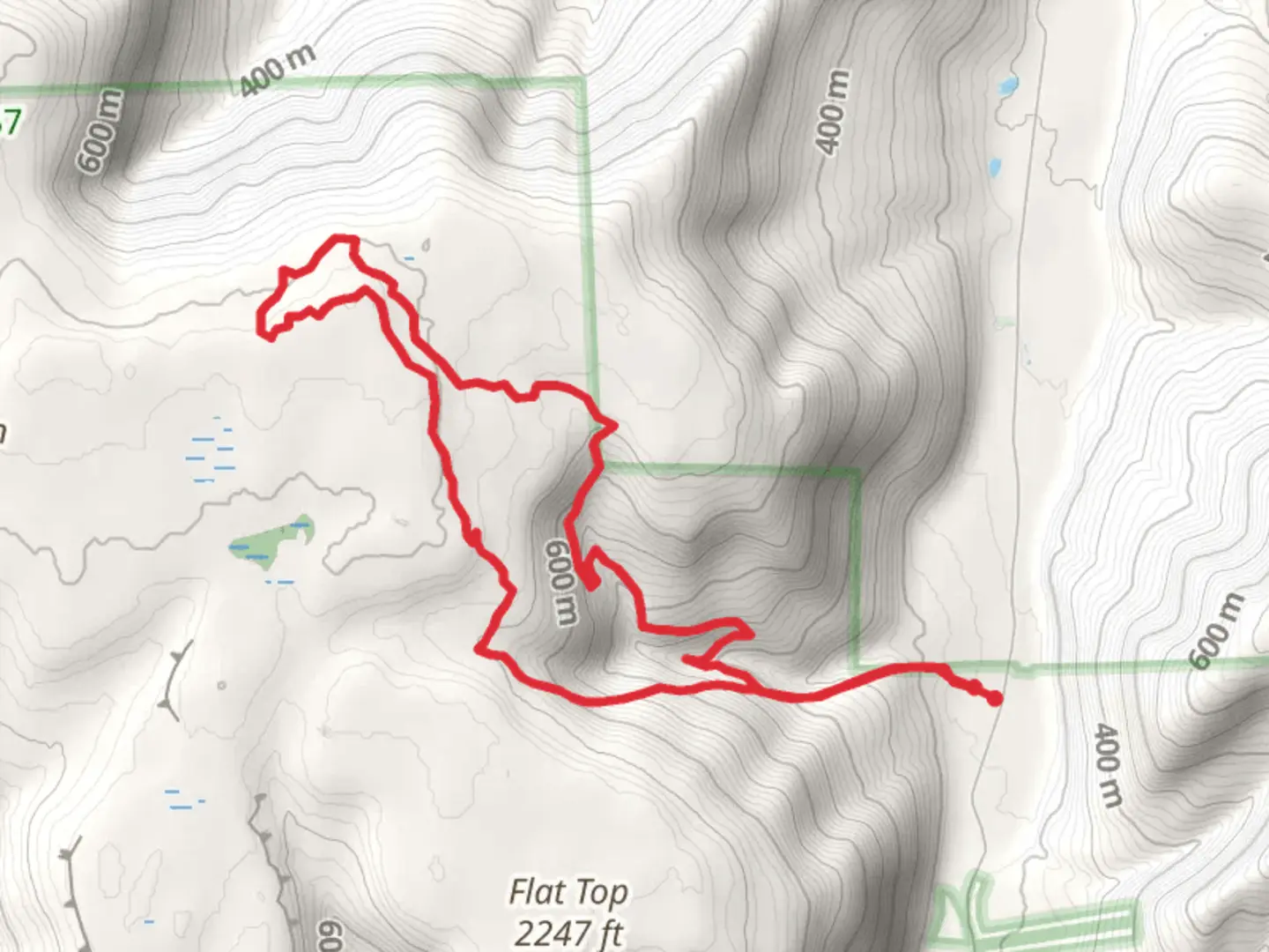 An image depicting the trail White Brook and Big Deer Swamp Loop and its surrounding area.