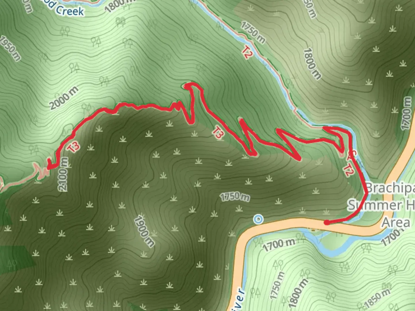 An image depicting the trail Jardine Juniper and its surrounding area.