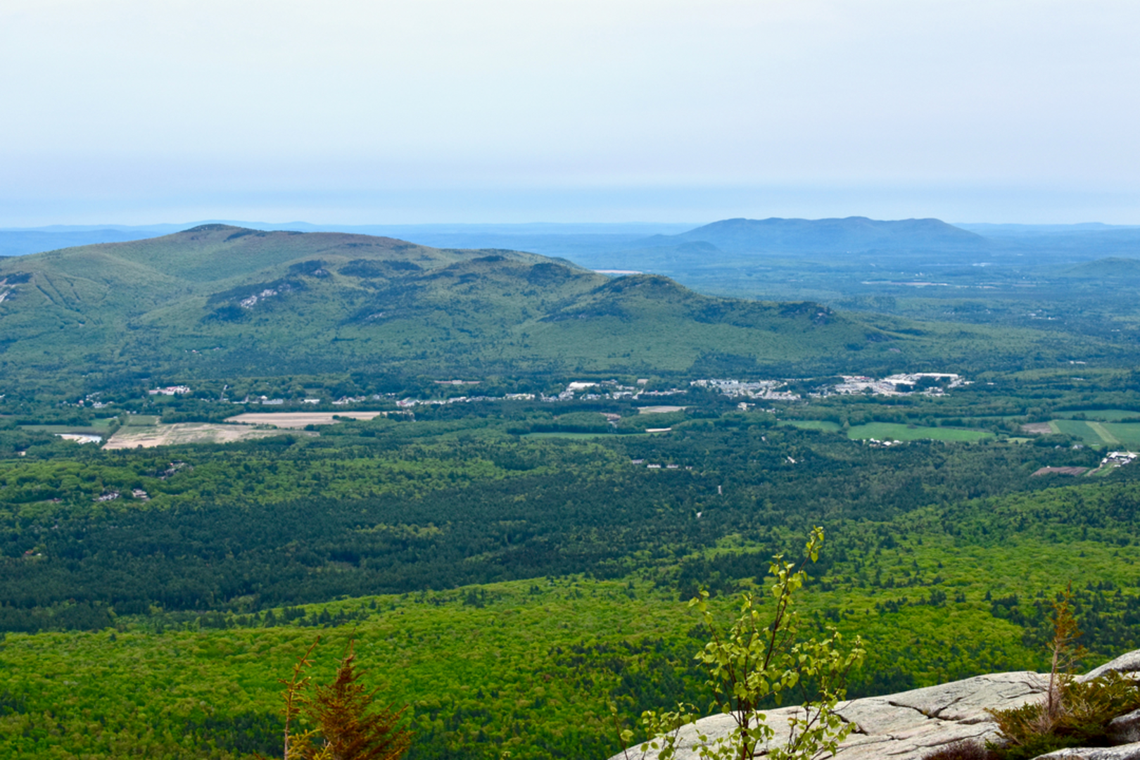An image depicting the trail Ultimate Singletrack Trail and its surrounding area.