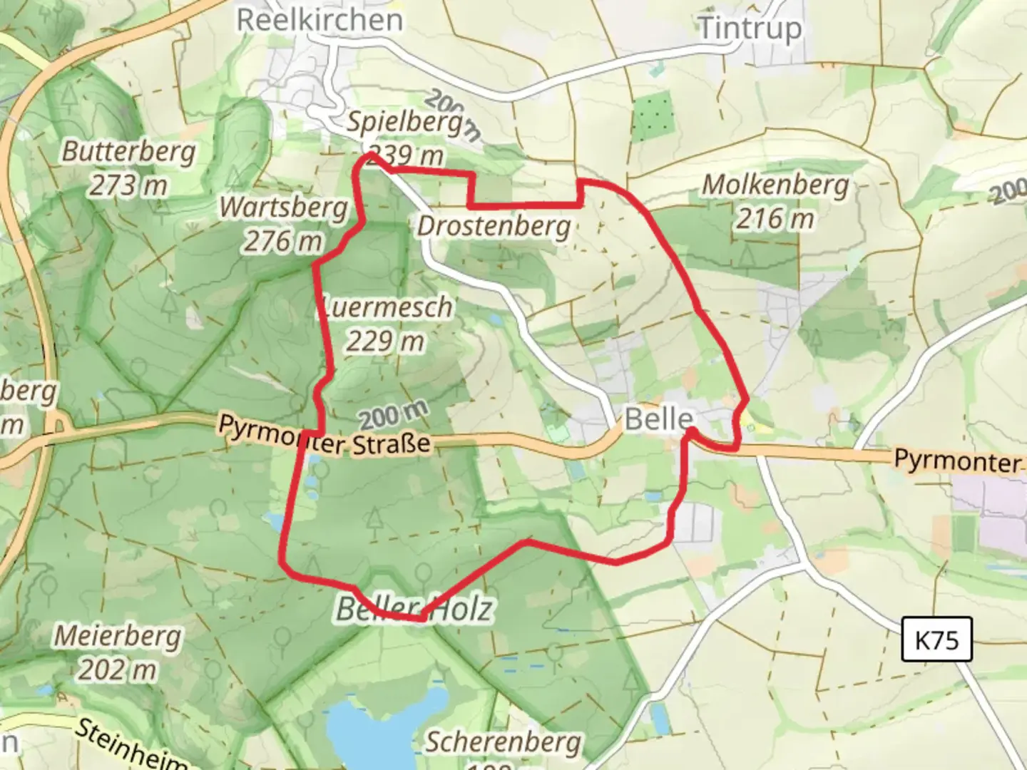 An image depicting the trail Belle Loop via Beller Holz and its surrounding area.