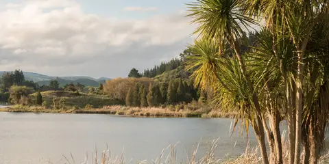 An image depicting the trail Galbraith Loop Track and its surrounding area.