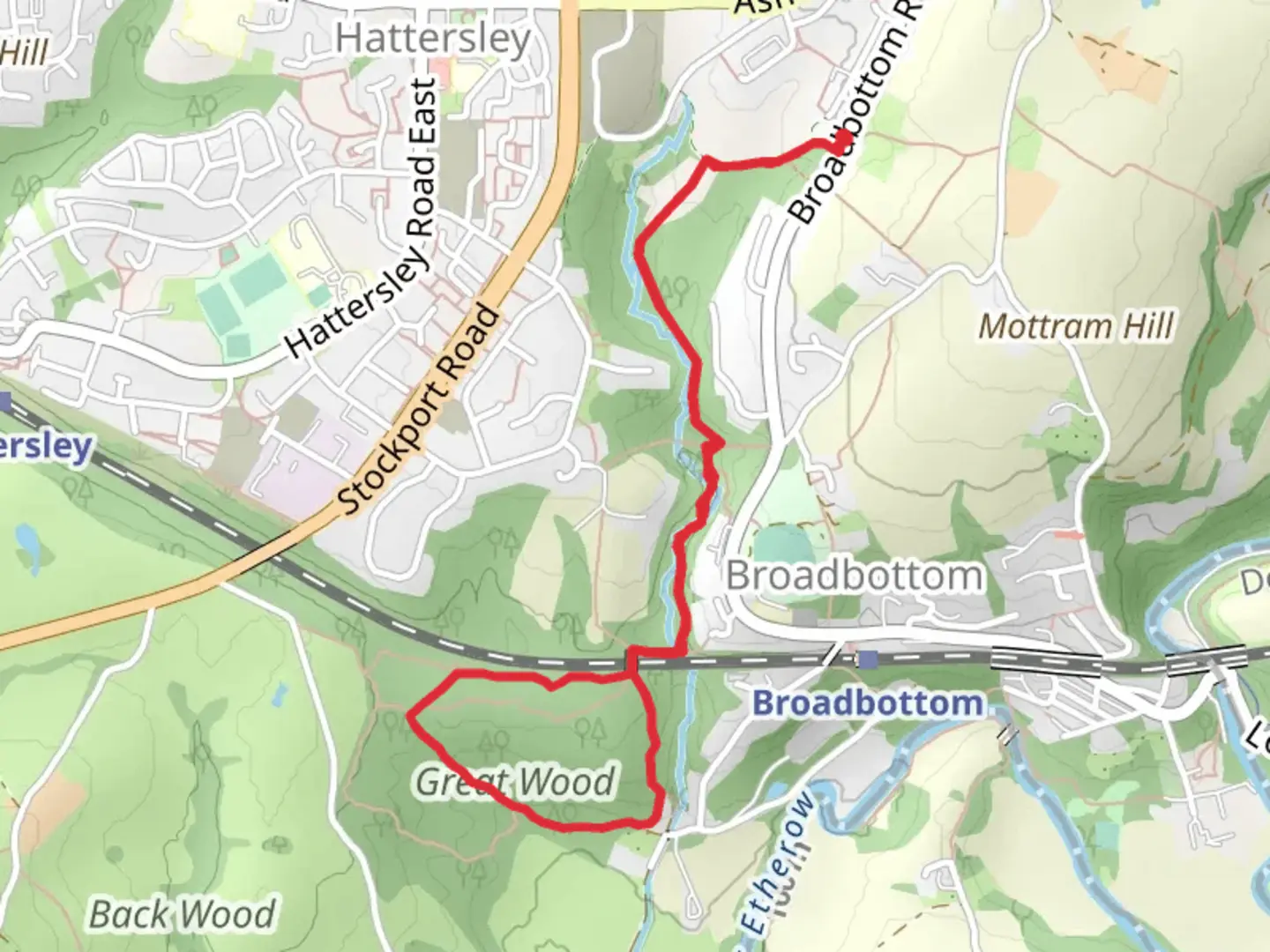 An image depicting the trail Great Wood Loop - Broadbottom and its surrounding area.
