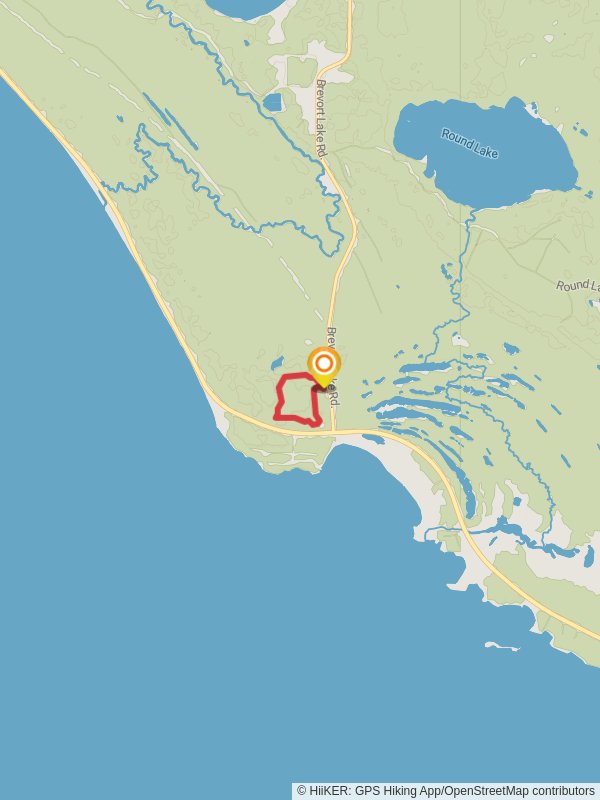 Loop A - Brevort Lake Road