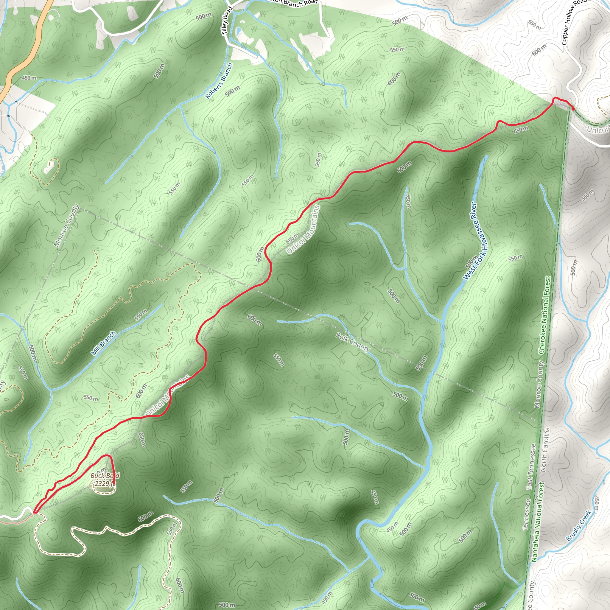 Buck Bald via Unicoi Mountain Trail mobile static map