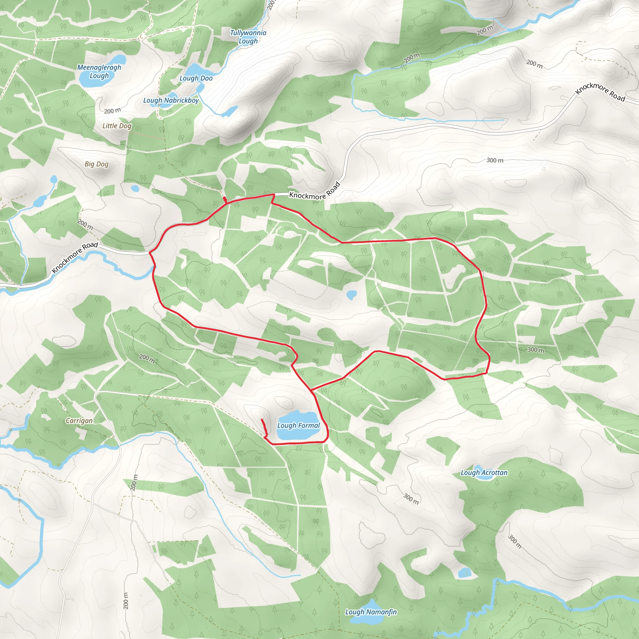 Carrigan Forest – Lough Formal Walk mobile static map