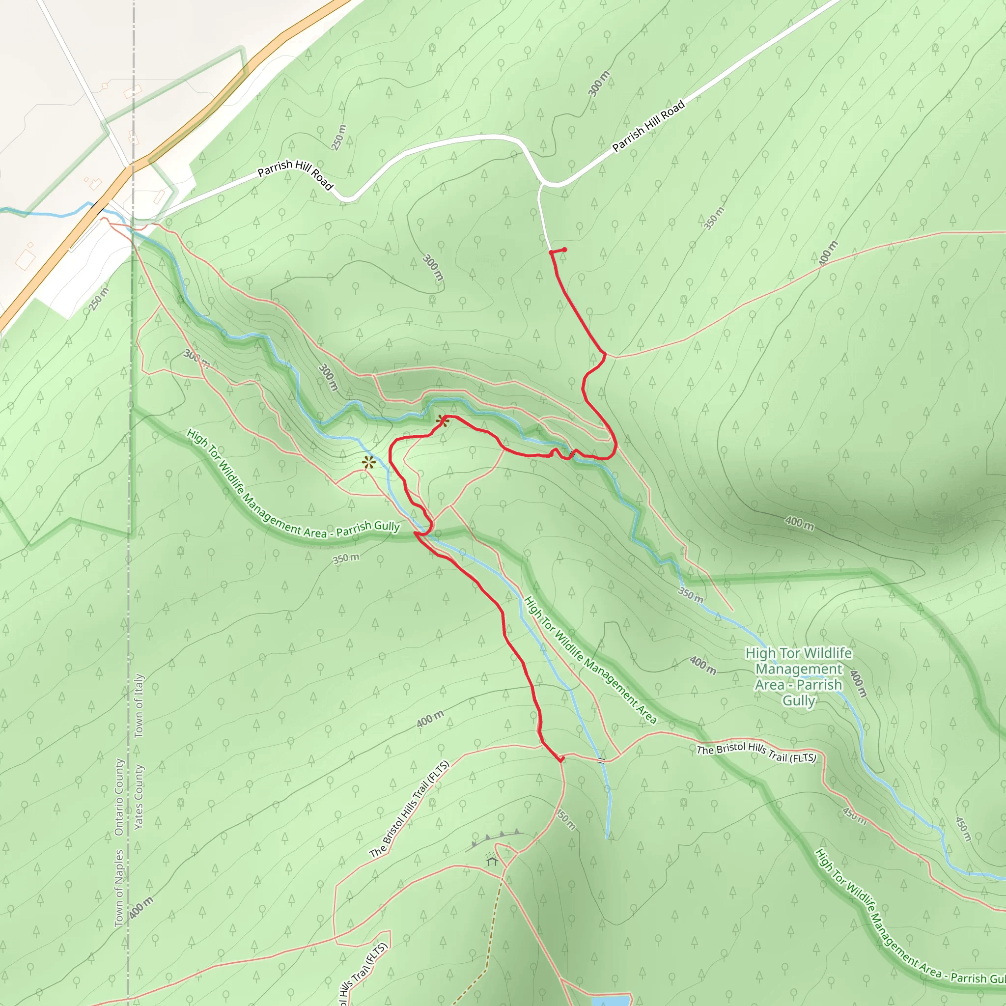 Conklin Gully mobile static map