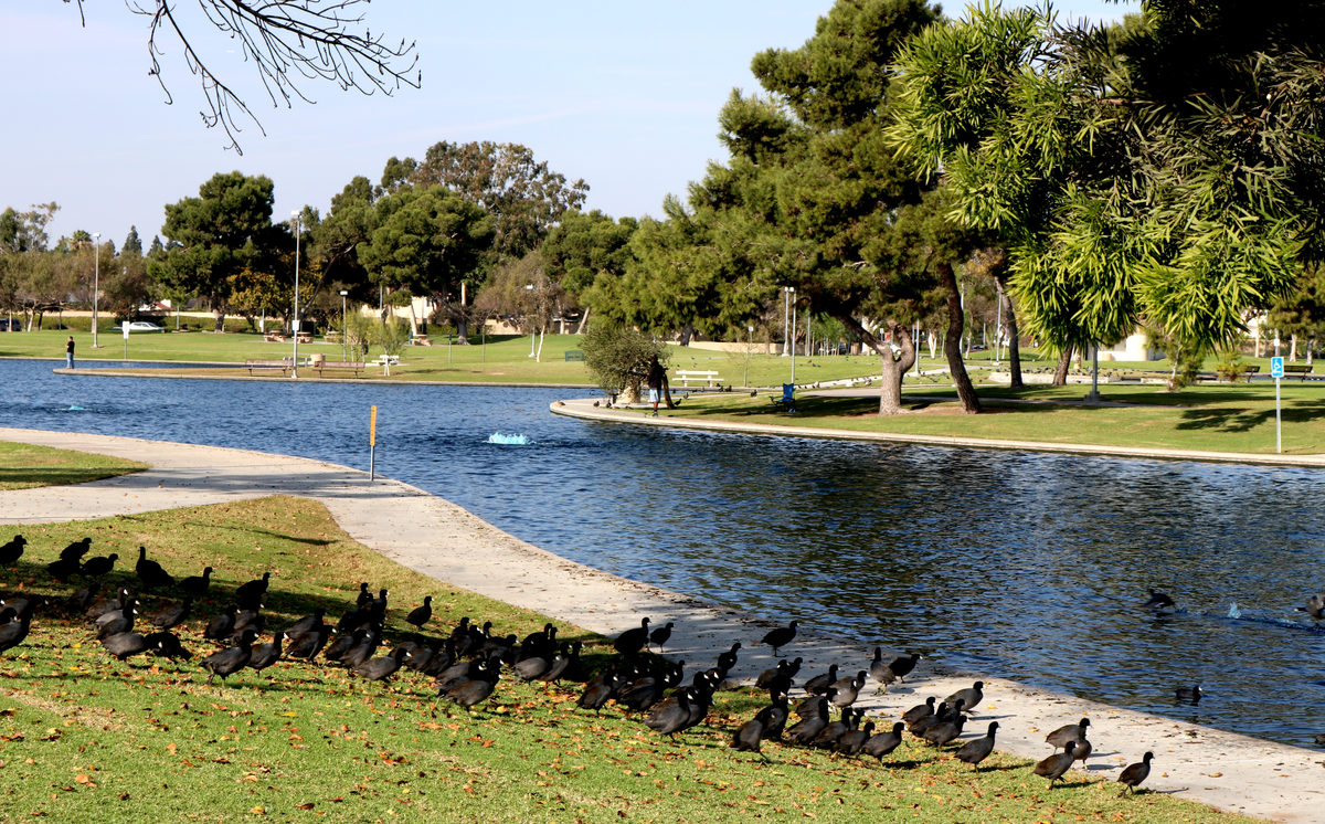 Don Knabe Community Regional Park Loop