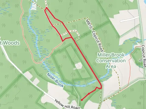 Miller Brook Loop