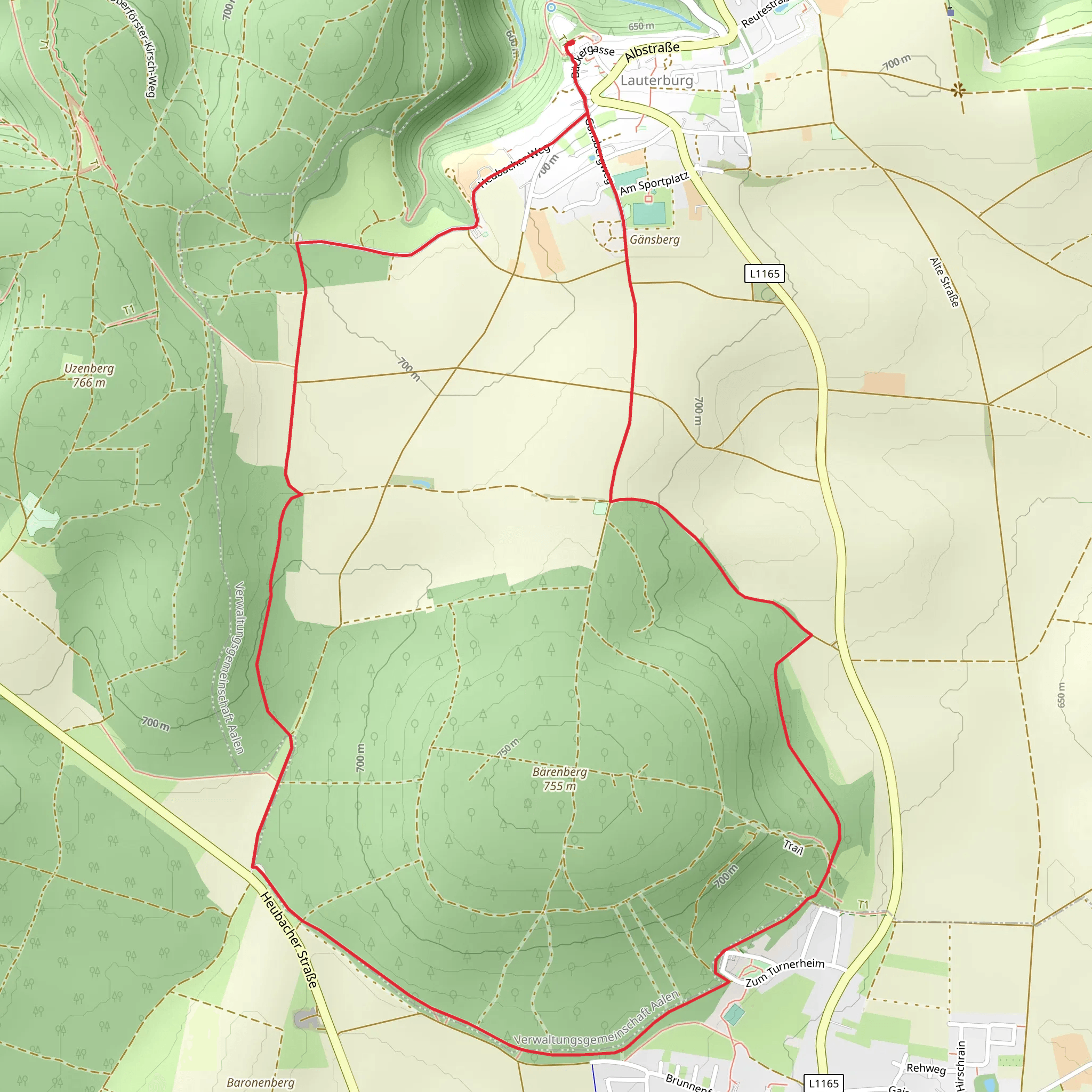 Bärenberg Loop from Lauterburg mobile static map