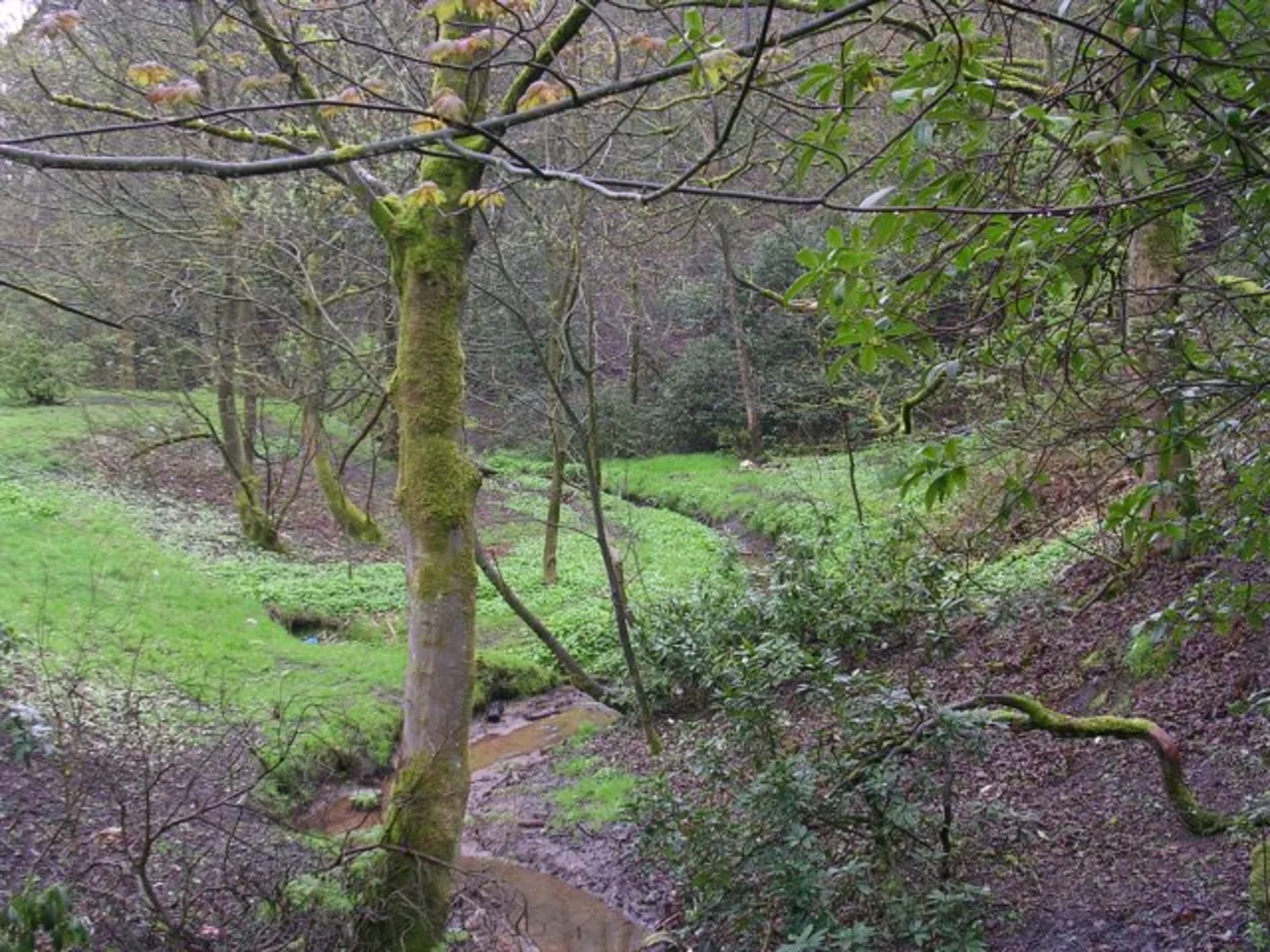 An image depicting the trail Boggart Hole Clough Loop and its surrounding area.