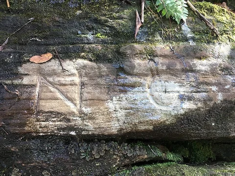 Ellicotts Rock Trail