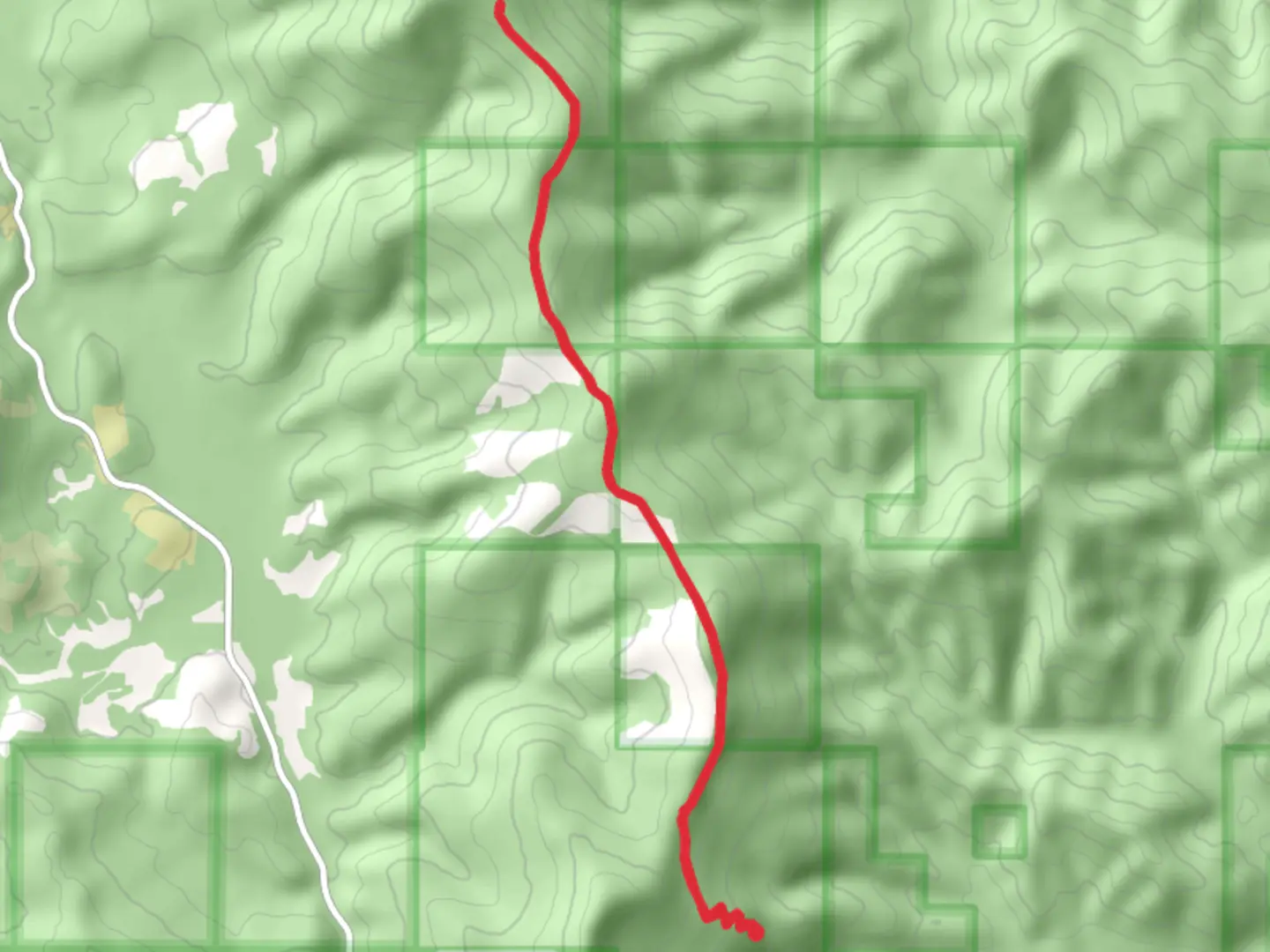An image depicting the trail Ashley Divide Trail and its surrounding area.