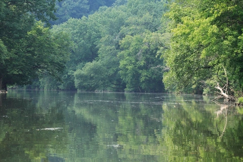 Tyler Drive Trail Loop