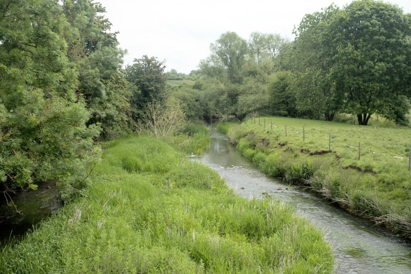 An image depicting the trail Rockingham Forest Walk and its surrounding area.