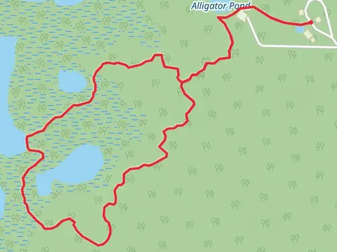 Loop around Alligator Pond