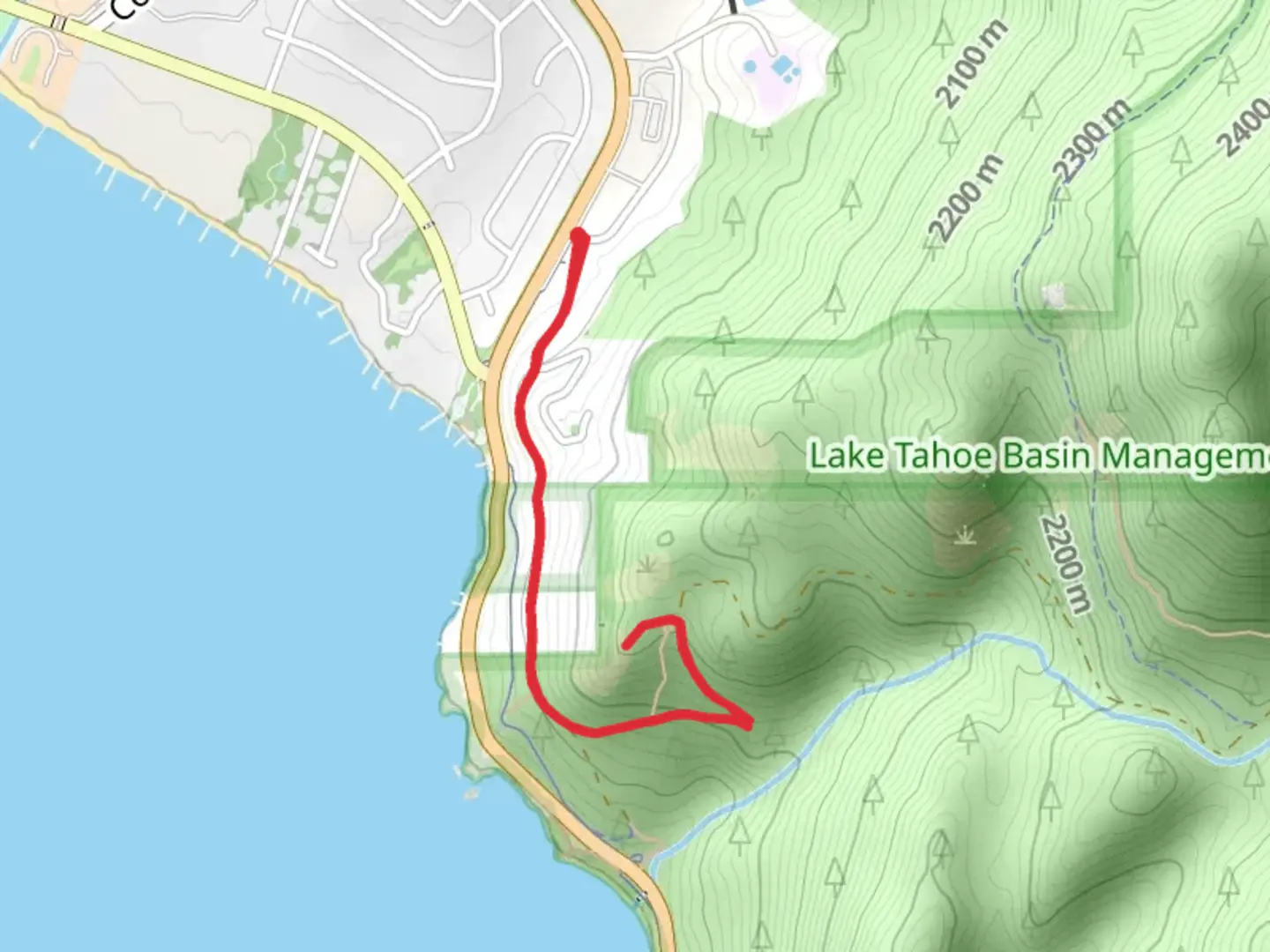 An image depicting the trail Tunnel Creek Road - Short and its surrounding area.