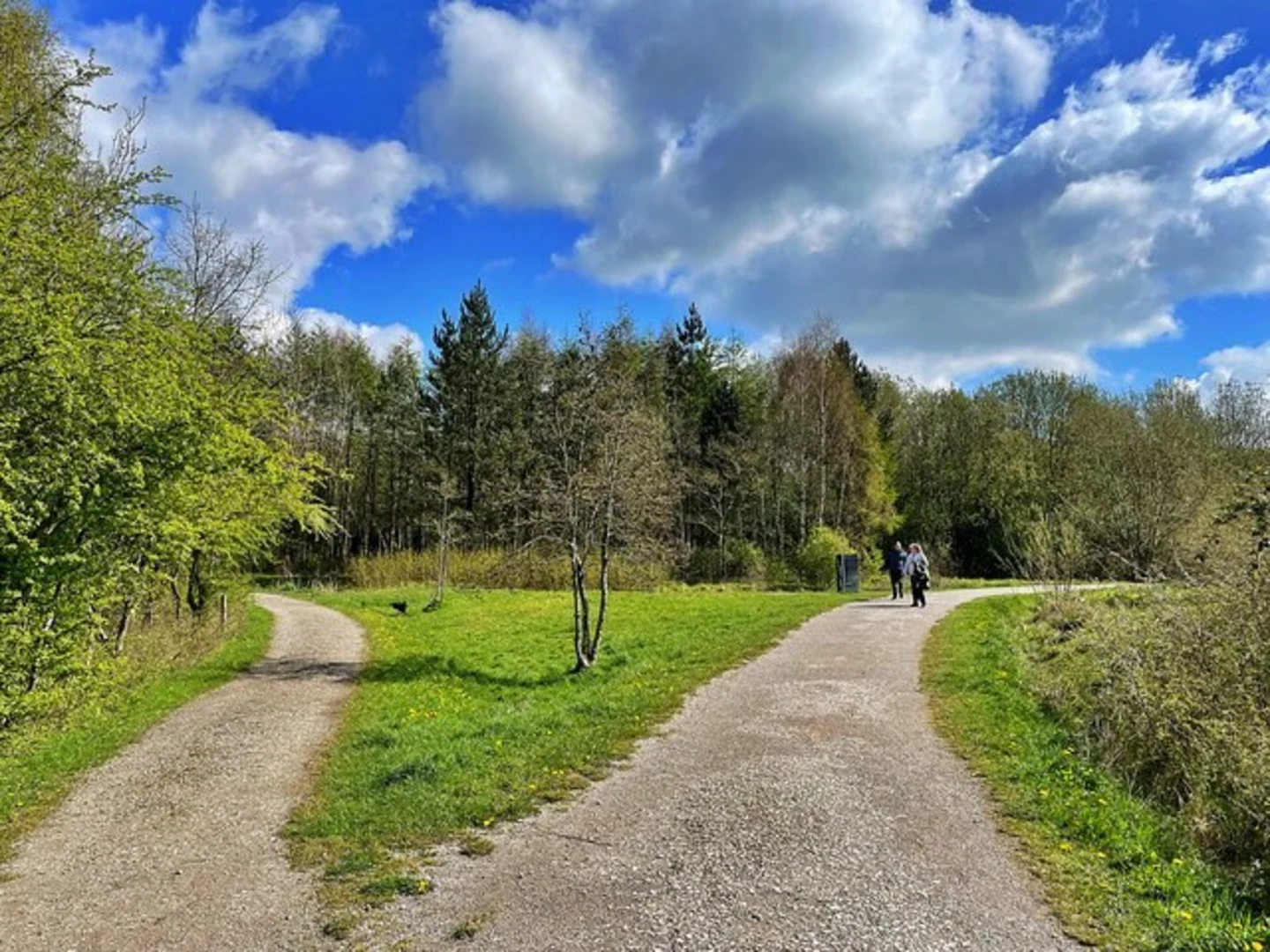 An image depicting the trail Sutton Manor and its surrounding area.