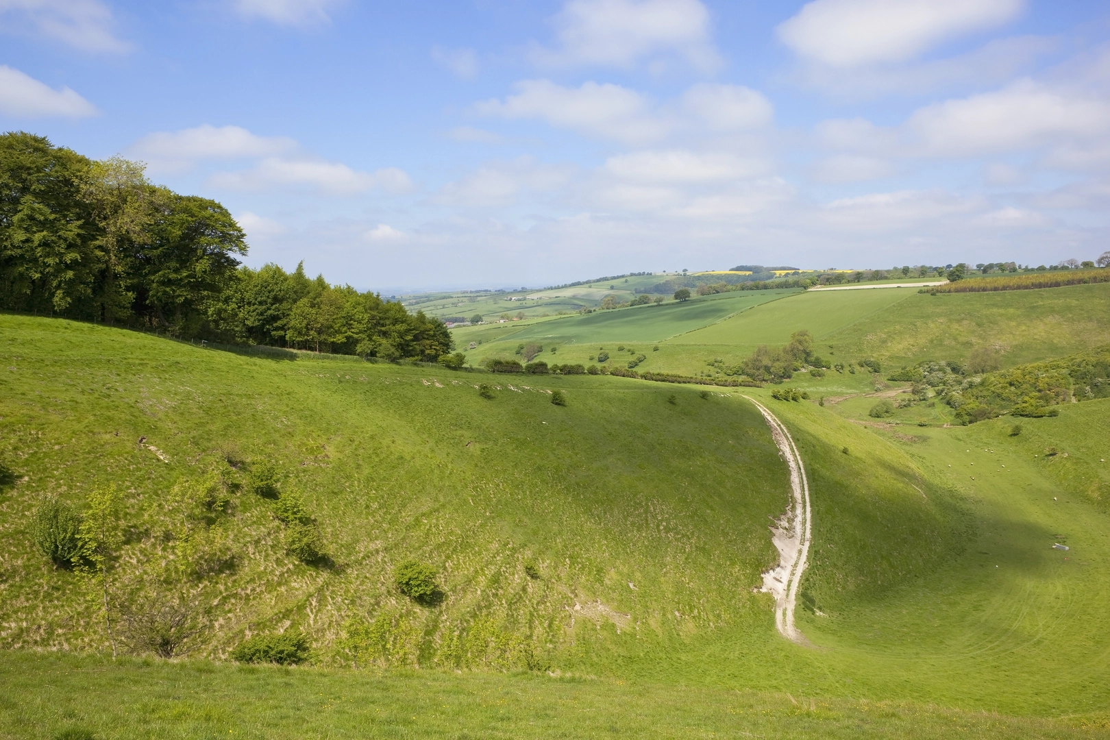 An image depicting the trail Circular from Wayrham Through Painsthorpe and its surrounding area.