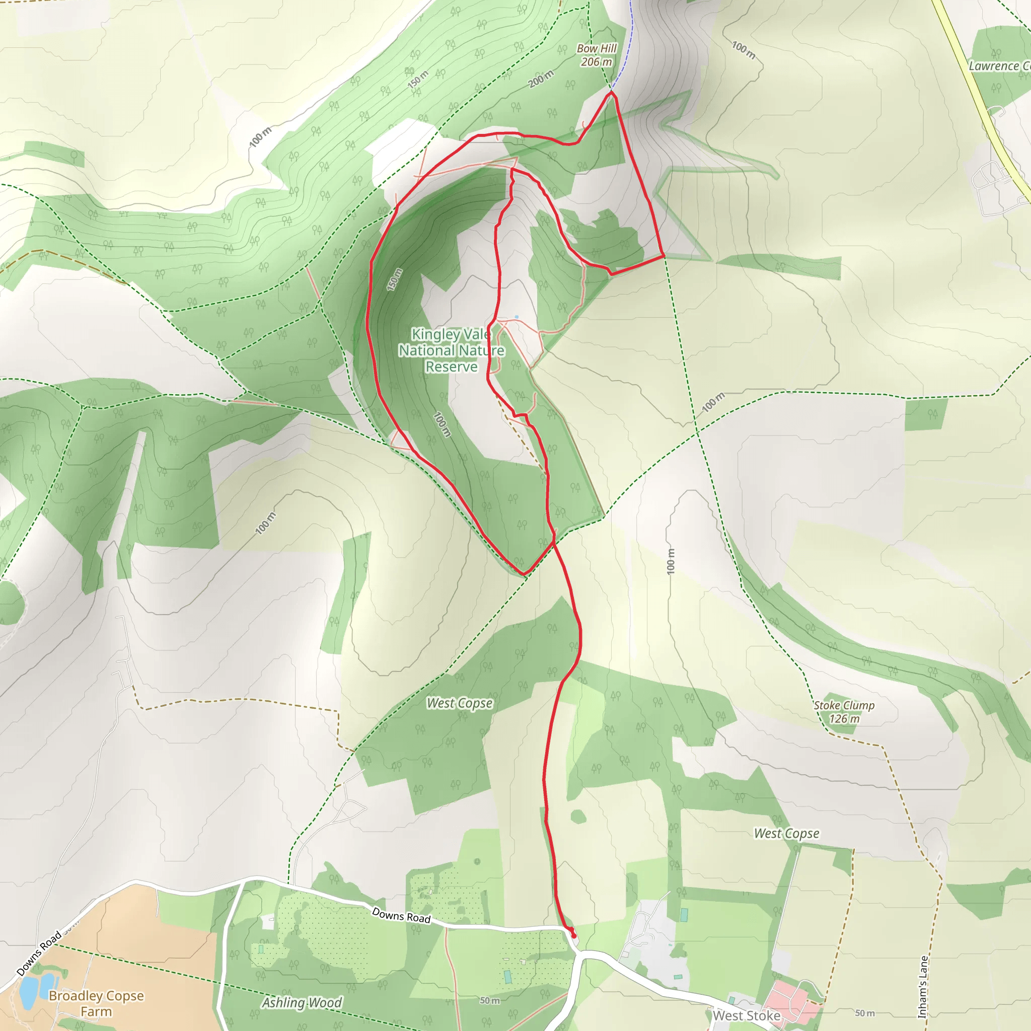 Kingley Vale National Nature Reserve Loop mobile static map