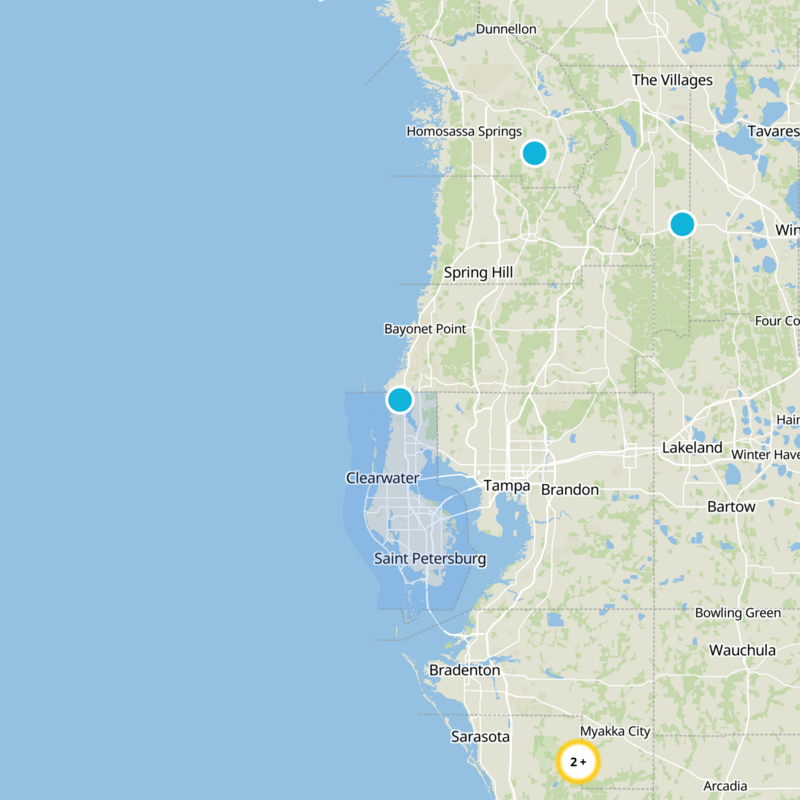 Pinellas County Static Map