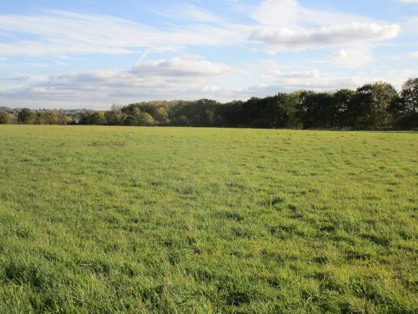 An image depicting the trail Bigglesway and Gamlingay Loop and its surrounding area.