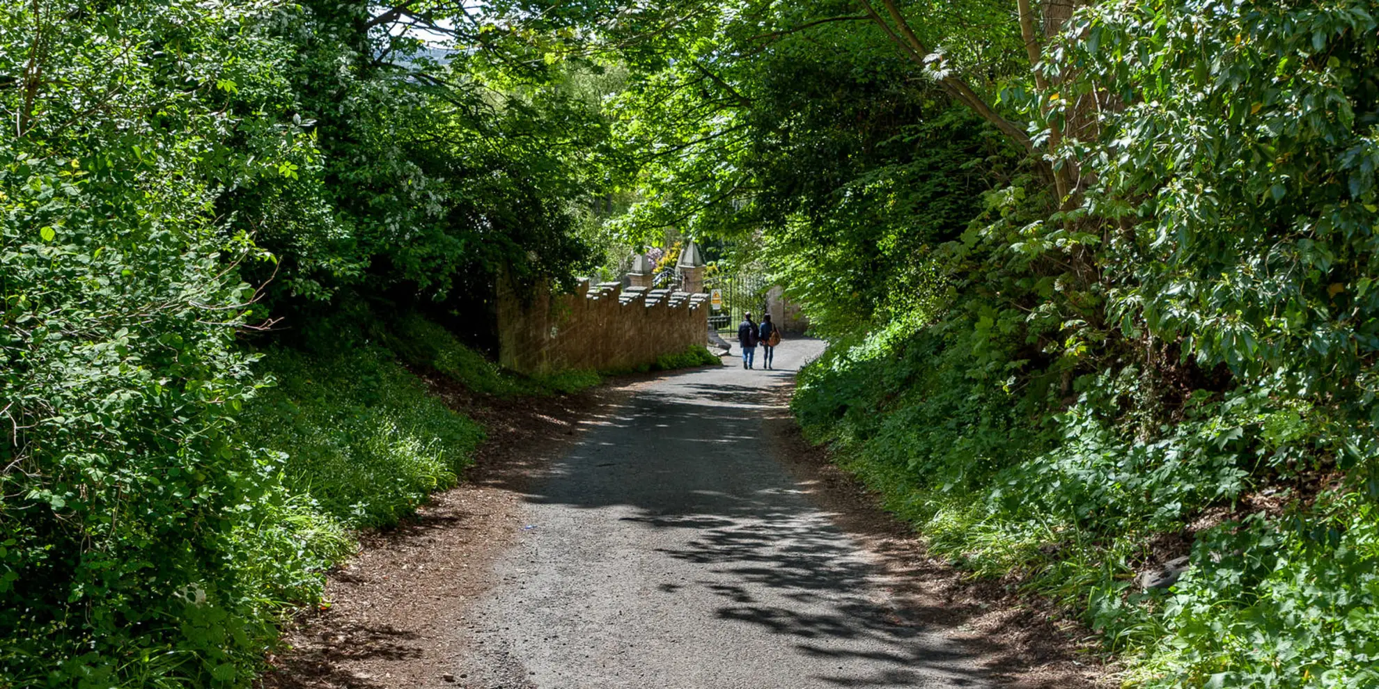 An image depicting the trail Edinburgh to Rosslyn Chapel Walk and its surrounding area.