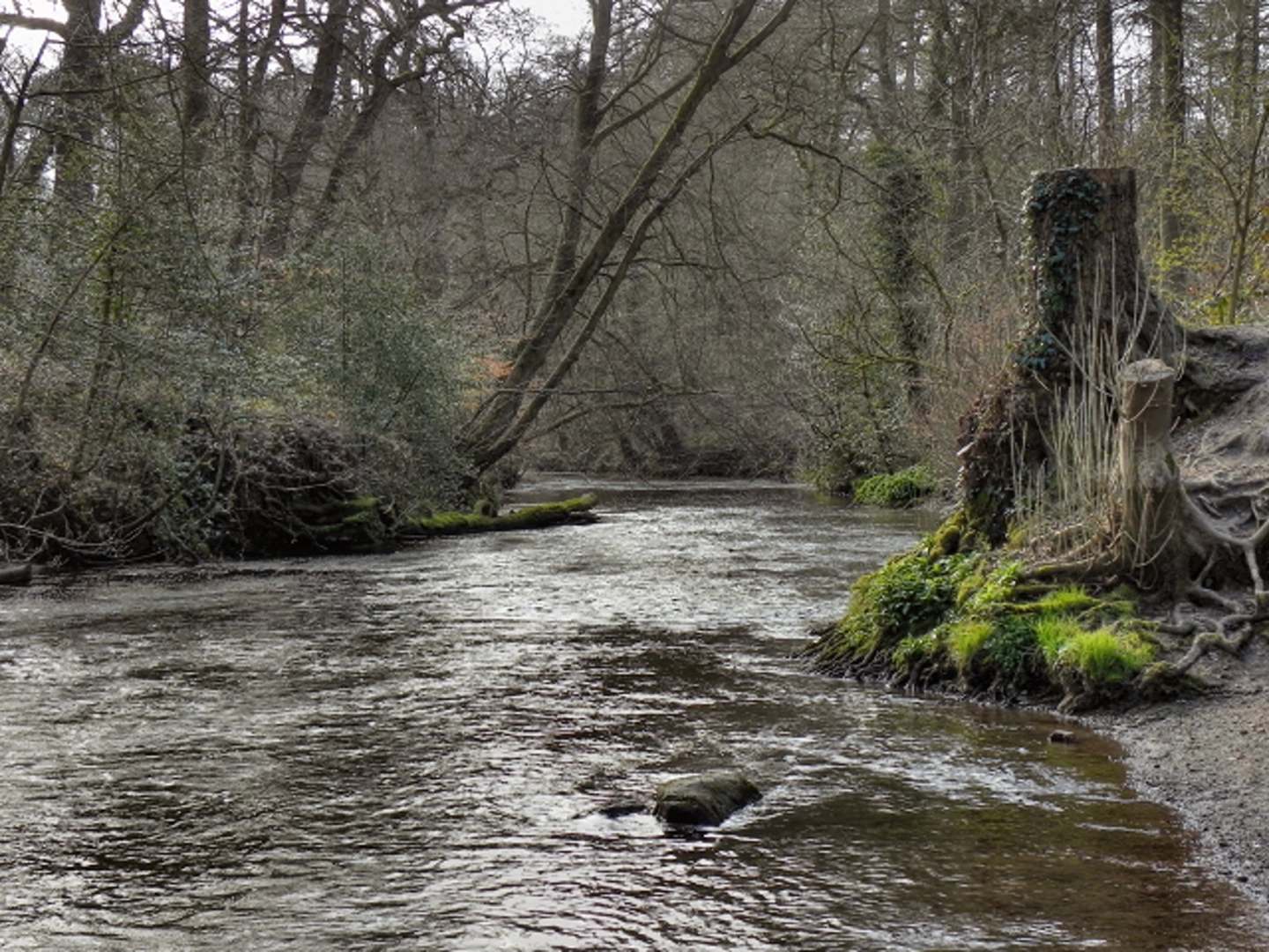 An image depicting the trail Styal Country Park Walk and its surrounding area.