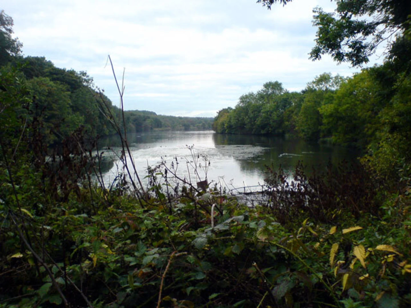 An image depicting the trail Welbeck Estate Walk and its surrounding area.