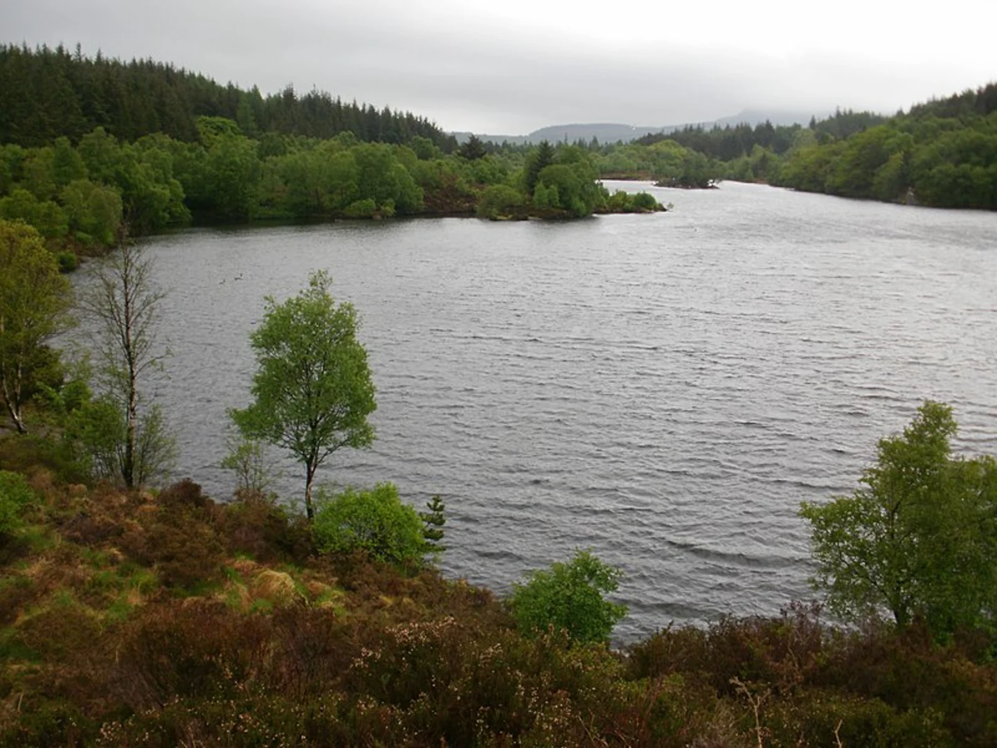 An image depicting the trail Two Lakes of the Gwydir Forest - Llyn Elsi and Llyn Parc and its surrounding area.