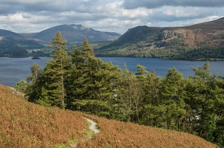 Catbells, Castle Crag Hill Fort, High Hows Wood and Manesty Park Loop